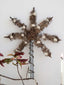 Christmas Tree Topper Star in metal, glass and tinsel by Deus Living