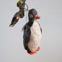 Vintage-Inspired ‘Svend’ The Penguin